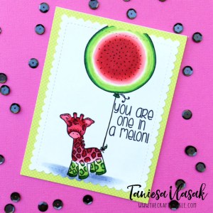 Taniesa Vlasak | TheCraftyPickle.com