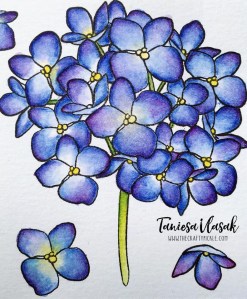 Taniesa Vlasak | TheCraftyPickle.com