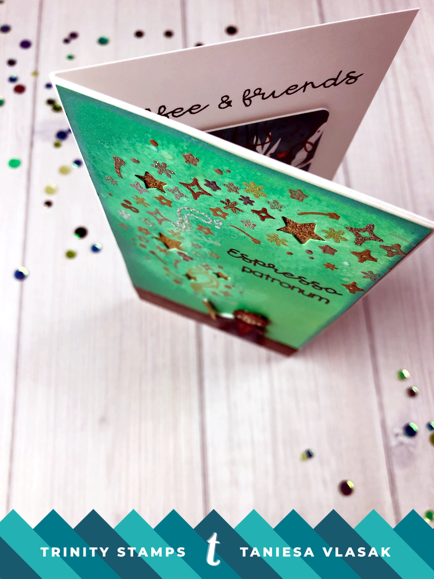 Taniesa Vlasak for Trinity Stamps Winter Release8